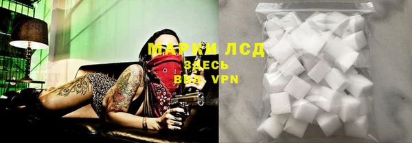 крисы Алзамай
