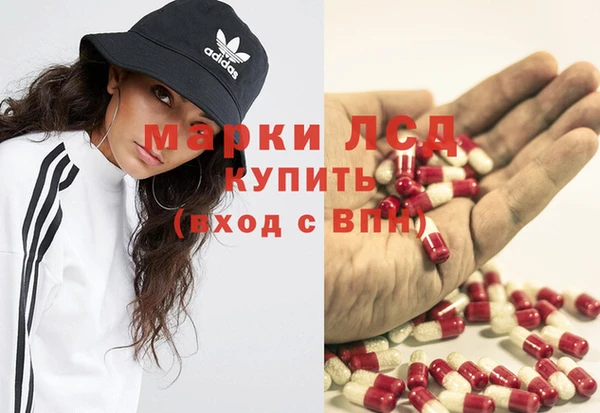 крисы Алзамай