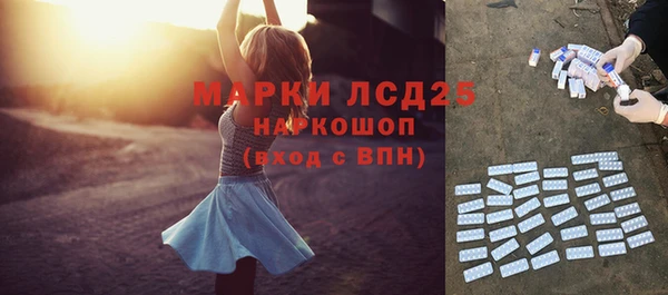 крисы Алзамай